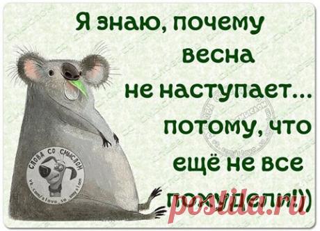 Аэропорт Дортмунд. Мы только приземлились и рулим к терминалу, за нами в ожидании посадки 4 самолёта: Люфгаза (Германия), Фидекс (грузовик), БритишАирвейс (Англия), и в верхнем эшелоне опоздавший на 4 часа ИЛ-86 Аэрофлота...