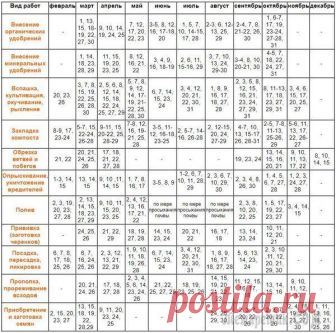 Лунный календарь для цветов и комнатных растений на 2018 год
