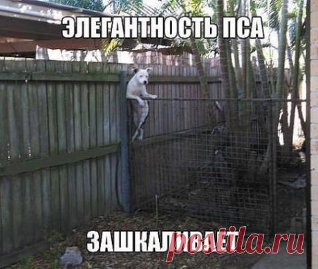 Одноклассники