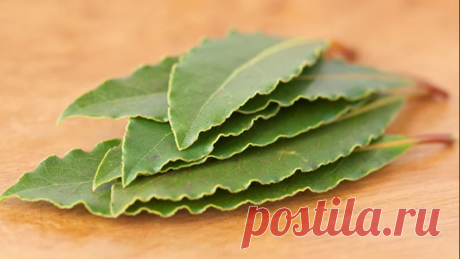 Медицина и здоровье | Записи в рубрике Медицина и здоровье | Дневник Шрек_Лесной