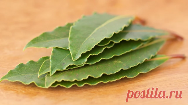 Медицина и здоровье | Записи в рубрике Медицина и здоровье | Дневник Шрек_Лесной