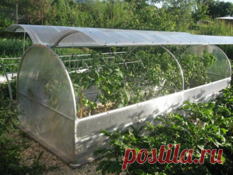 КАК СДЕЛАТЬ ПАРНИК «БАБОЧКА»