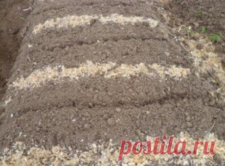 Прикоснитесь ладонью к земле… (делимся опытом)