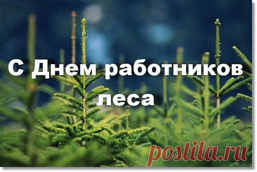 С Днем работников леса
Тебя поздравляю
И добра перевеса
Я в судьбе пожелаю.