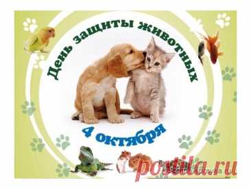Так пусть же повсюду и птицы поют,
И рядом животные мирно живут.
А чтоб не исчезла с Земли красота,
Мы все охранять ее будем всегда! Открытки на День защиты животных.