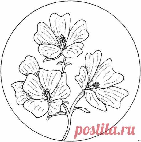 Мандалы.