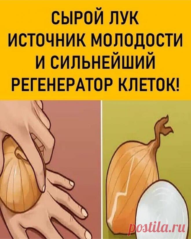 ПОЛЕЗНЫЕ СОВЕТЫ в Instagram: «Сырой лук — источник молодости и сильнейший регенератор клеток! Берем самую обычную луковицу…⠀ ⠀ Одно из самых ярких впечатлений про лук…»