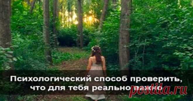 Психологический способ проверить что для тебя реально важно — Бабушкины секреты Очень простой и интересный тест, который расскажет тебе о твоей жизни больше, чем мама или психотерапевт.Прежде, чем двигаться дальше, приготовьте чистый лист бумаги и ручку. После того, как прочитали вопрос, немедленно записывайте ответ. Не давайте себе времени на раздумья. Пишите или рисуйте первое, что приходит в голову.