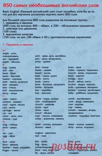850 слов на английском языке, выучив которые, вы будете свободно говорить! Забери себе на стену, чтобы не потерять! ...