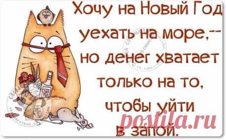 Прикольные фразочки в картинках про Наступающий Новый год