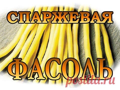 Консервированная спаржа от Дочки Матери Подружки