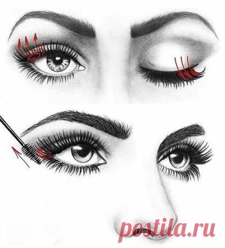 Как правильно красить ресницы. 😃