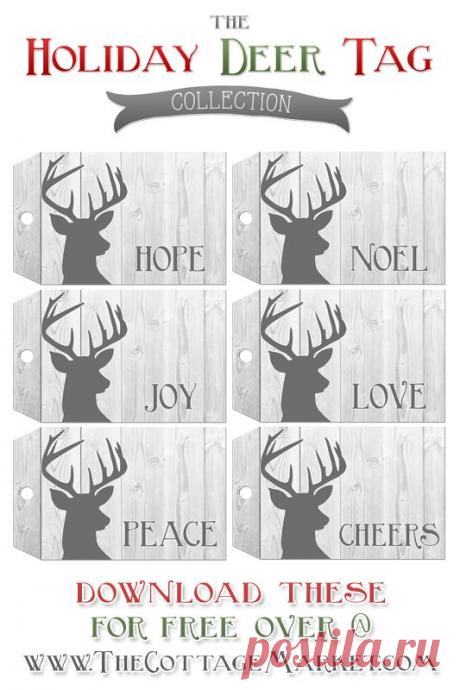 Мастер-классы. Топиарии. Фоамиран. Рукоделие.