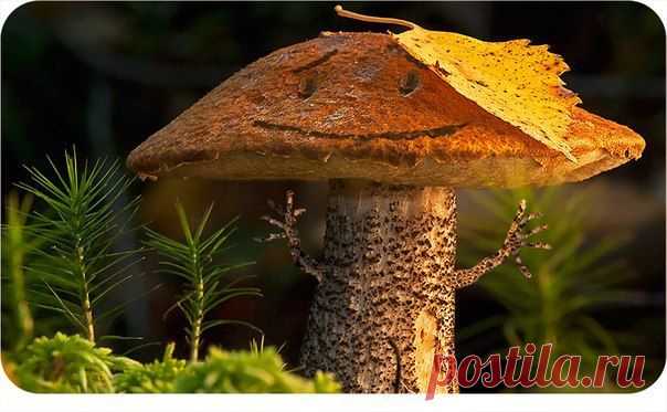 Опубликован свежий "ЧЕРНЫЙ СПИСОК" производителей ГМО (Генетически Модифицированных) - продуктов СОХРАНИ ПАМЯТКУ!!!