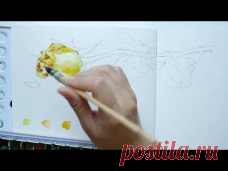 Part 2: How to draw and paint a rose