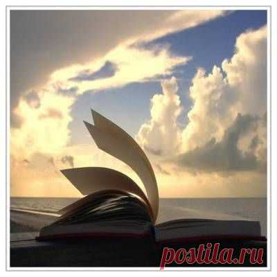 Лучшие притчи - 24 Февраля 2012 - НАША ПЛАНЕТА. - Наша планета.Новости экологии