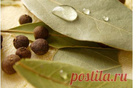 Как использовать лавровый лист для волос