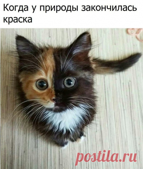 Мой Мир@Mail.Ru