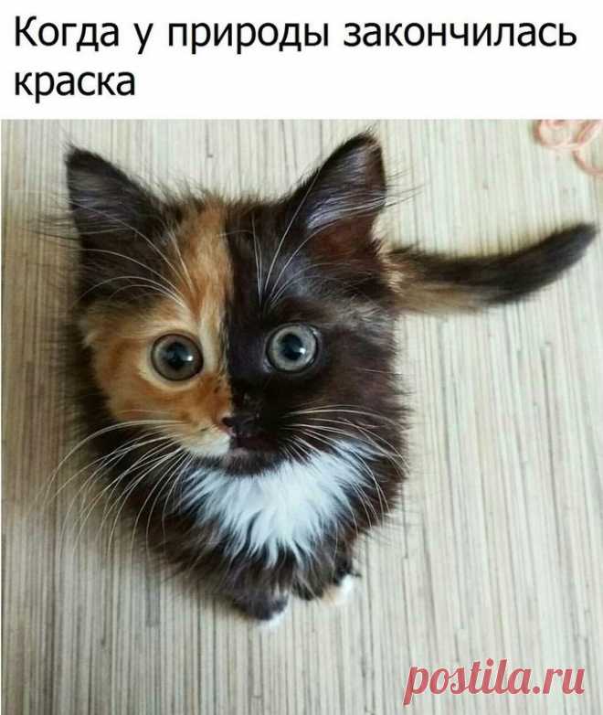 Мой Мир@Mail.Ru