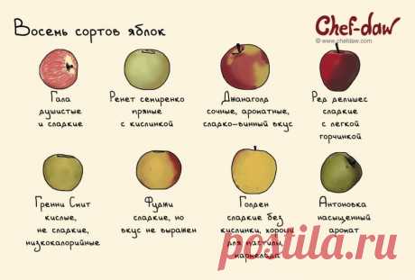 20 шпаргалок, которые пригодятся на кухне