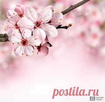 Фотообои 