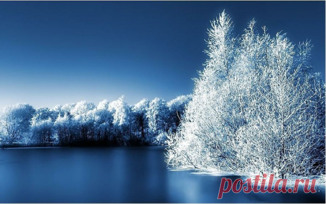 95010836_large_wonderfulwinter72947.jpg (899×562)