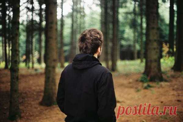5 важных жизненных уроков, которые можно выучить, просто отдыхая на природе — Психология