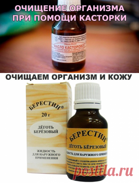 Очищение организма костровым маслом и дегтем