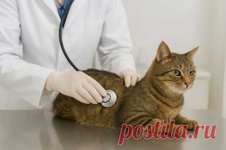 🐱 Увеличение почек у кошки — сигнал, который нельзя игнорировать!
Что это значит, какие причины могут быть и как вовремя защитить здоровье питомца ❤️
#кошки#здоровьекошек#ветеринария#почки#заболеваниякошек#кот#котики#уходзакошкой#здоровыйпитомец#vetklinika79
Изображение от ChatGPT