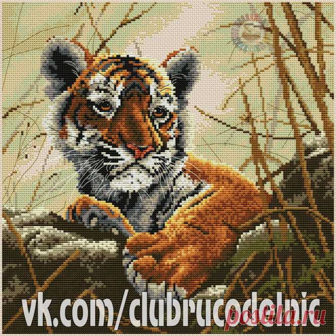 #Животные #тигрёнок #вышивка #схемы #рукоделие #handmade #хомячки #clubrucodelnic