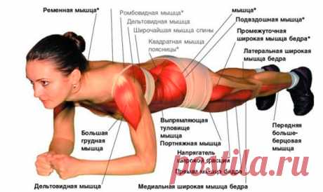 Польза планки на локтях – правда или вымысел?