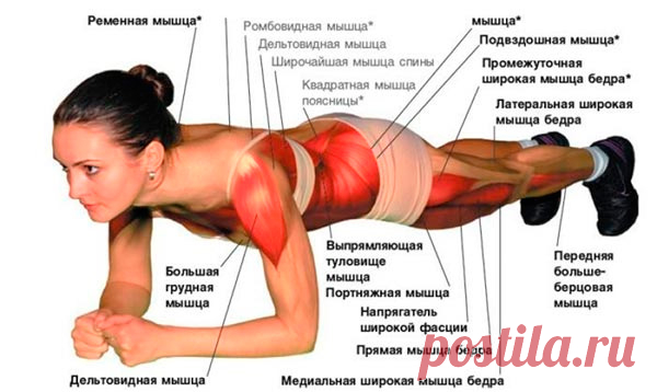 Польза планки на локтях – правда или вымысел?