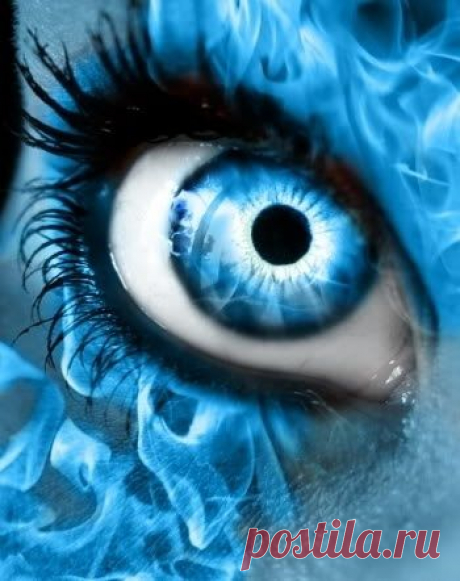 Fire eyes - eyes Photo