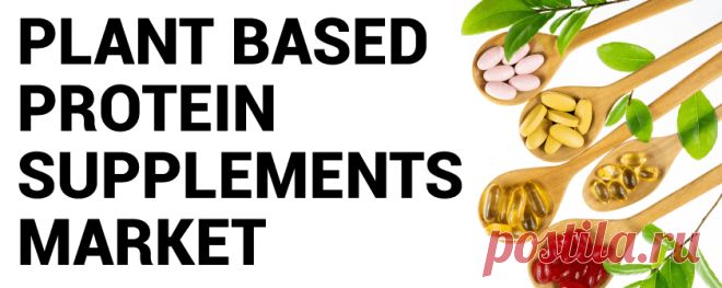 Plant based Protein Supplements Market Size | Global Report, 2028