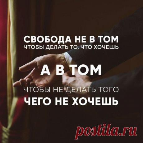 Без комментария