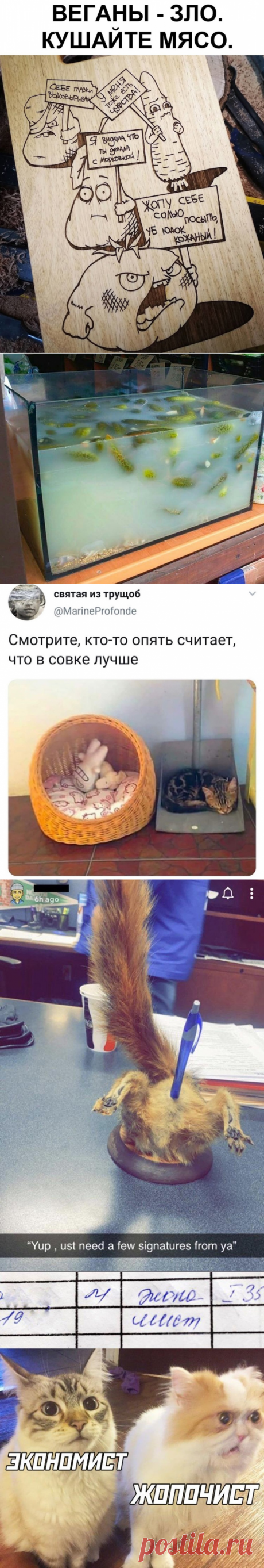 Подборка прикольных картинок и фотографий-270