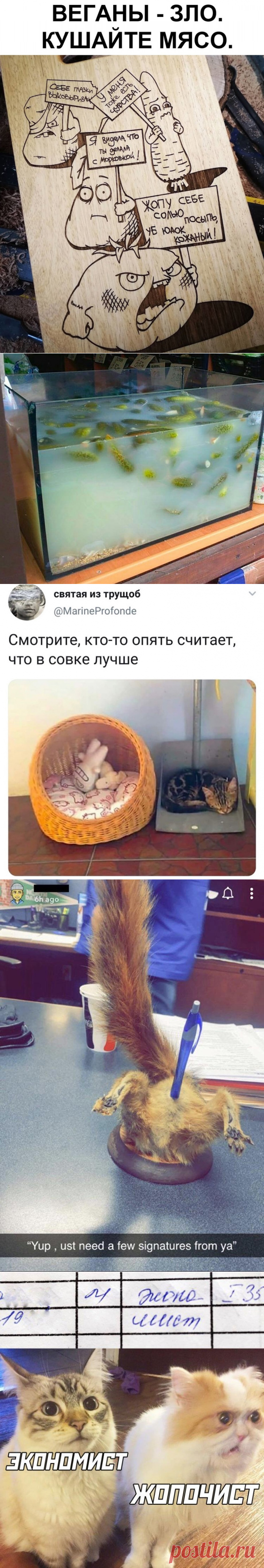 Подборка прикольных картинок и фотографий-270