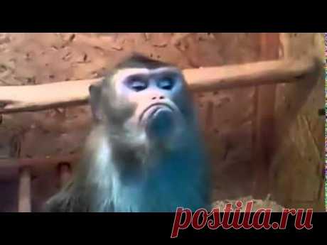 Как обижаются девушки  D