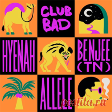 Hyenah, Benjee (TN) - Allele | 4DJsonline.com
