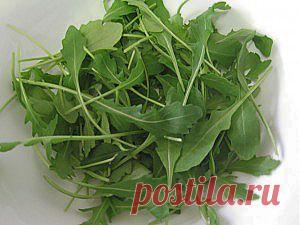 О пользе руколы