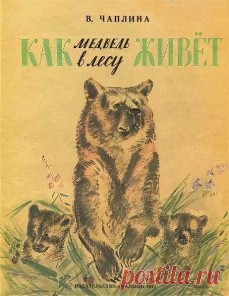 Познавательный рассказ о жизни медведей в лесу