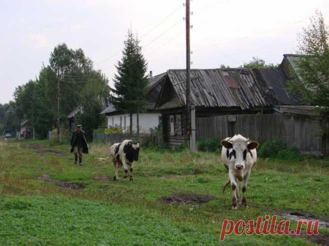 Плейкаст «ДЕРЕВЕНЬКА МОЯ СТАРАЯ»