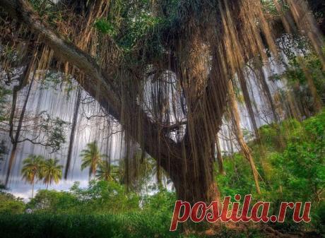 getImage (640×469)