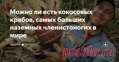 Можно ли есть кокосовых крабов, самых больших наземных членистоногих в мире  Кокосовые крабы самое крупное наземное членистоногое. Нужно знать, что передние когти очень и очень мощные – они используют их, чтобы разорвать волокнистую шелуху кокосового ореха. Так они и получили свое название. Их клешни могут легко сломать пальцы человеку. Кокосовый краб двигается медленно, скорость не превышает ходьбы человека. Если кокосовый краб потерял клешню – у него вырастет новая клешн...