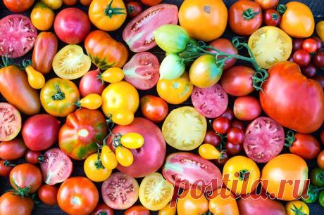 Сладкие помидоры. Какие сорта считаются самыми вкусными?
Получатся ли помидоры вкусными на среднерусской даче? Разумеется!
Кандидат с.-х. наук Татьяна Терешонкова знает, как этого добиться.
Всё дело в сорте
Выбирая семена томатов, внимательно читайте напе…