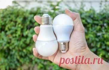 Все минусы светодиодных ламп, о которых почему-то постоянно забывают Светодиодные лампы приобрели необычайную популярность в последние полтора десятилетия, в то время как более «традиционные» лампы накаливания встречаются всё реже. Конечно, существующие недостатки...