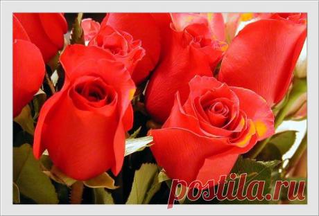 НАПИТКИ С КУРКУМОЙ ДЛЯ ЗДОРОВЬЯ И ДОЛГОЛЕТИЯ