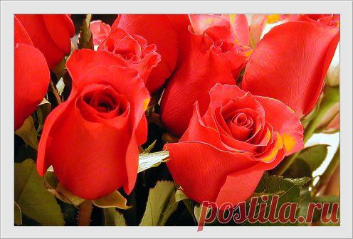 НАПИТКИ С КУРКУМОЙ ДЛЯ ЗДОРОВЬЯ И ДОЛГОЛЕТИЯ