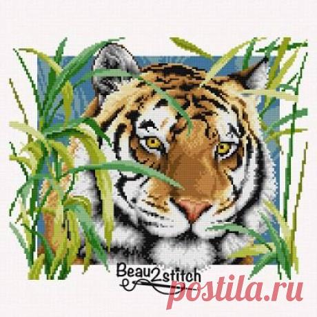 Без заголовка
