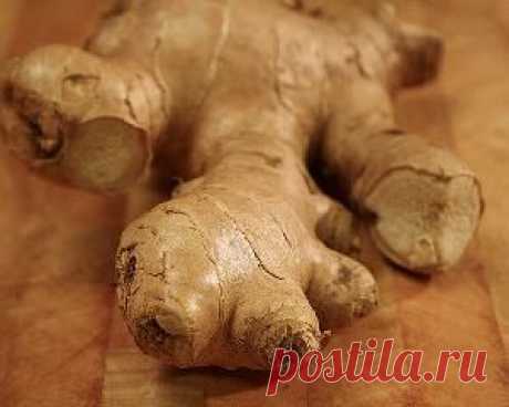 Имбирь для ухода за волосами | Секреты красоты и здоровья